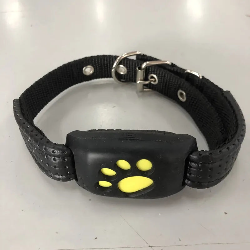 Never Lose Your Pet Again