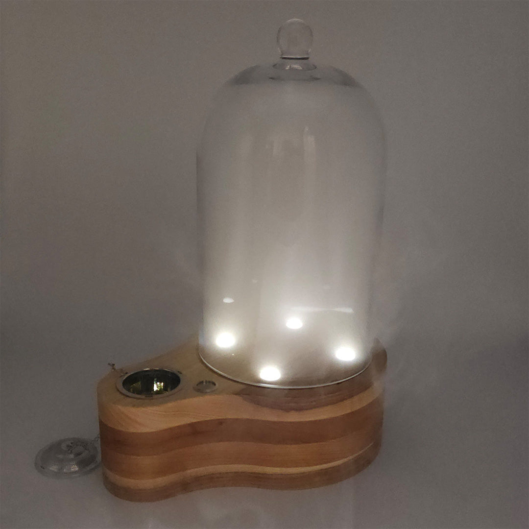 Glass Cocktail Smoker Cloche