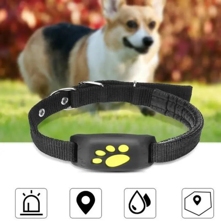 Never Lose Your Pet Again