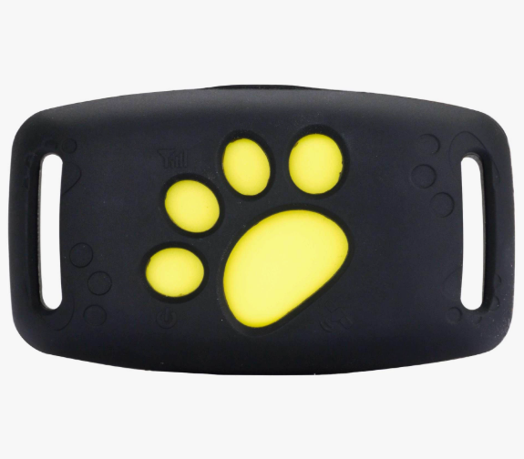 Never Lose Your Pet Again