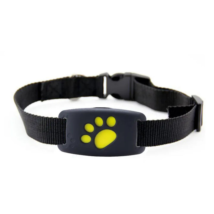 Never Lose Your Pet Again