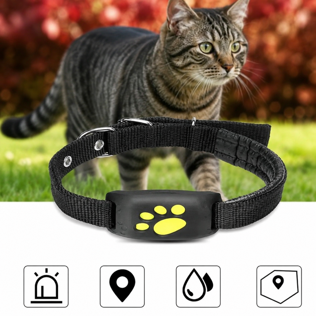Never Lose Your Pet Again